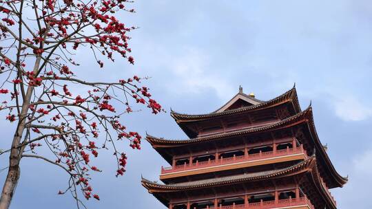 春风中摇曳的木棉花和古建筑