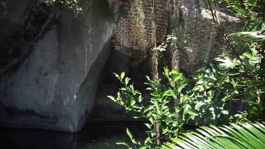 嘉兴柯岩风景区普照寺风景视频