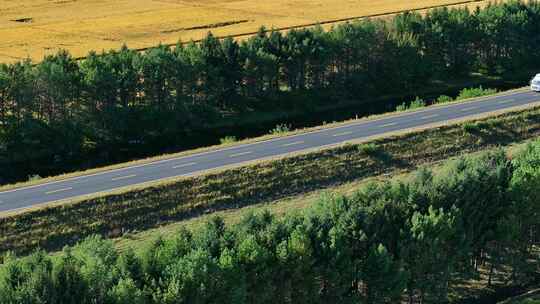 穿过树林与稻田的公路航拍