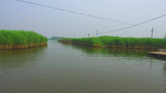 河北雄安白洋淀景区