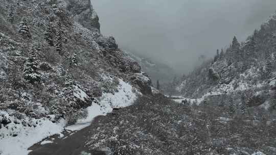 行驶在雪中 雪中山路 公路 行驶在路上