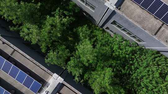 屋顶上的光伏发电站和院子里的树木