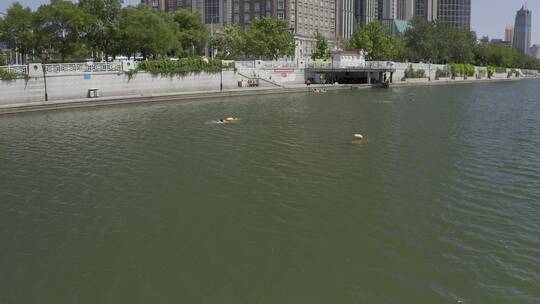 海河游泳 天津海河 航拍视频素材模板下载