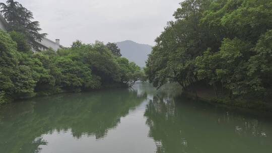航拍中国浙江杭州浴鹄湾雨天自然水上树林