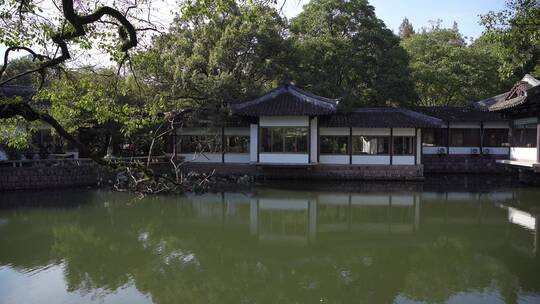 杭州西湖景区曲院风荷风景