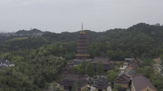 余杭梧桐寺视频素材模板下载