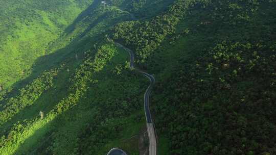 茂密的森林群山盘山公路