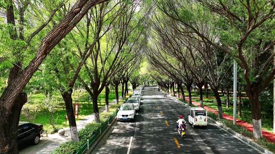 航拍漯河市城市马路车流