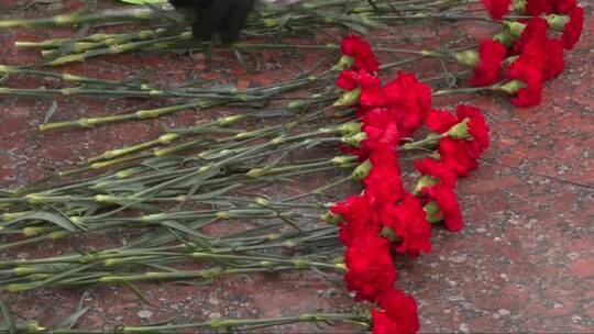 纪念碑前摆放着的红色康乃馨