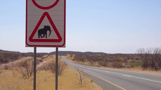 一个吉普车经过的大象路口标志