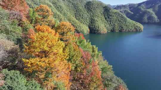 四明山秋天秋景秋色 茅镬公园