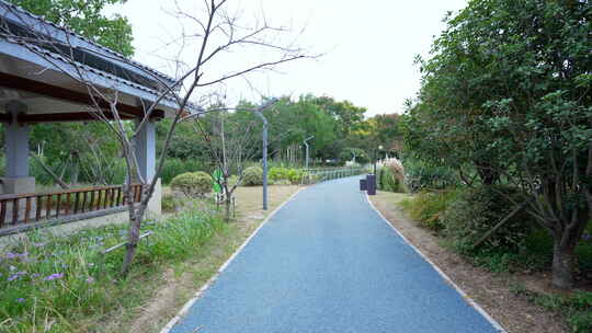 武汉光谷三路湿地公园风景