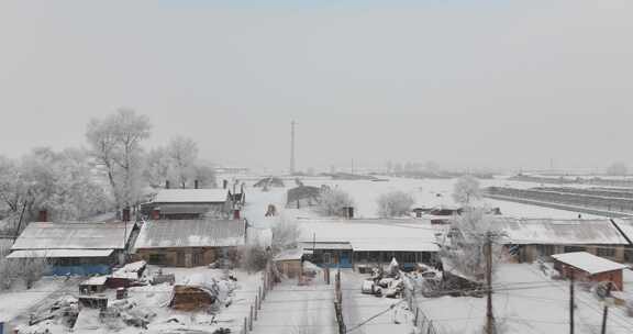 冰雪覆盖树木的冬季雪景航拍画面