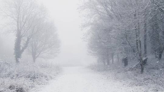 下完雪后静谧的小路