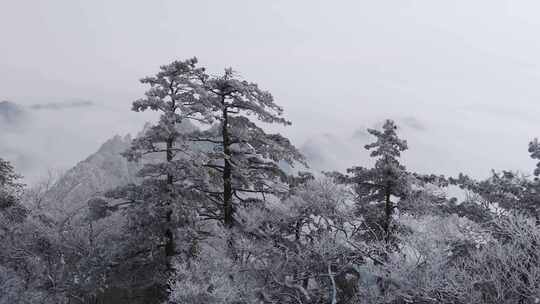 南太行伏牛山雪景雾凇云海自然风光