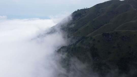 江西萍乡武功山山间草地云海景观航拍