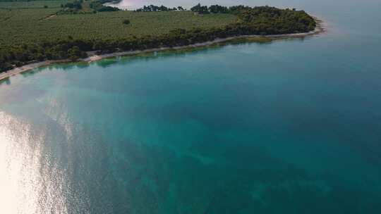 在克罗地亚伊斯特拉的一个天然海滩海岸海湾，清澈的蓝色海滨水，平静和绿松石