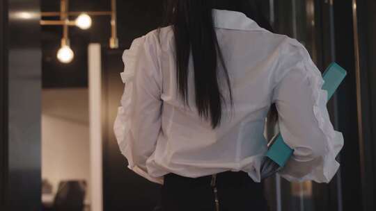 4K-职业女性拿着文件走进办公室视频素材模板下载