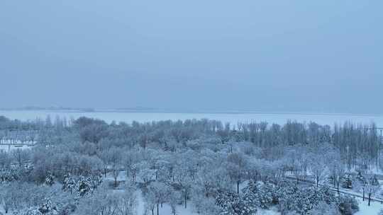 太原晋阳湖雪景