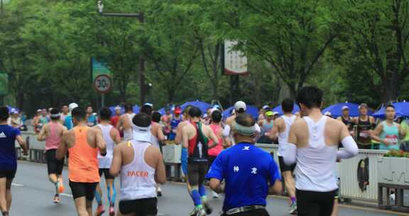 马拉松人群奔跑的背影 苏州马拉松