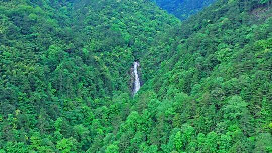 森林公园山涧瀑布从远拉近
