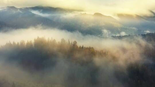 云雾缭绕的山脉森林
