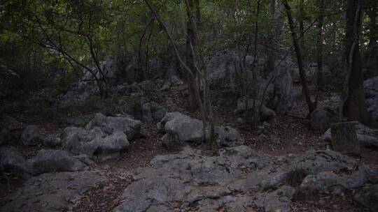 杭州灵隐寺飞来峰顶