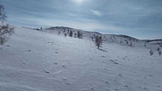 航拍呼伦贝尔大雪原白雪皑皑