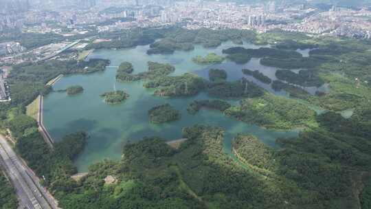 深圳龙华茜坑水库