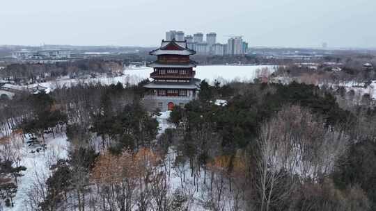 航拍戴河生态园雪景