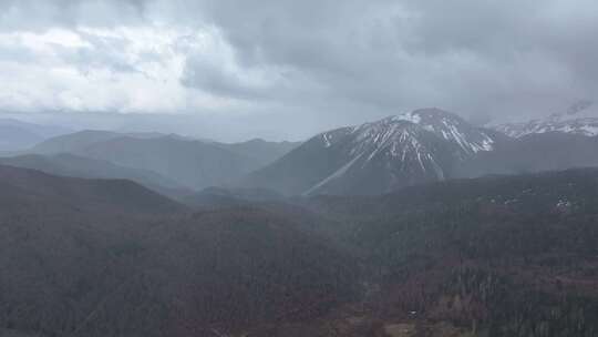 航拍云南香格里拉雪山森林草原 自然风光