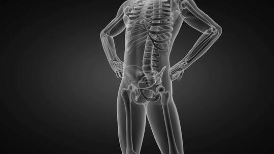 人体 骨骼 骨架 脊柱 脊椎 医学 头骨视频素材模板下载