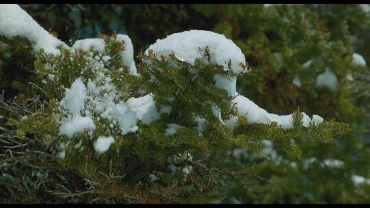 雪花融化滴水汇流融入大海水变云