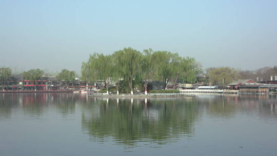 北京什刹海春天风景绿色可调色
