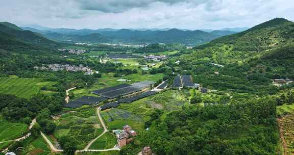 【正版素材】云浮市南药种植基地