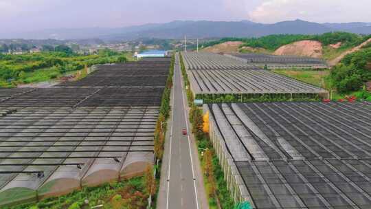 农业航拍现代大规模种植蔬菜基地