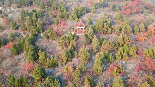 山东枣庄峄城仙人洞景区冬季美景片段