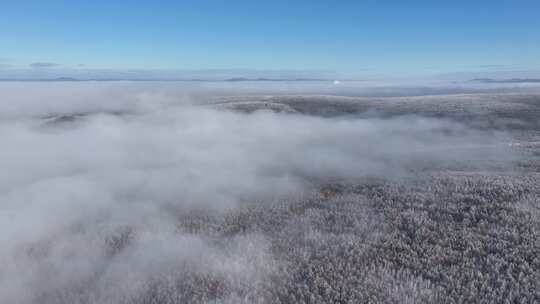 大兴安岭林海雪原云海雾凇241028 (42)