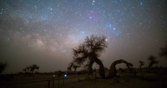 内蒙古怪树林景区星空银河