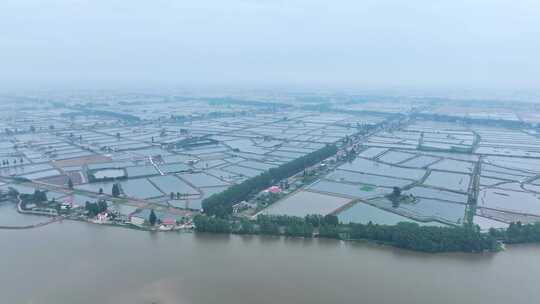 淡水鱼水产养殖基地航拍