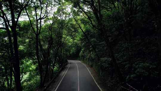 山林道路A