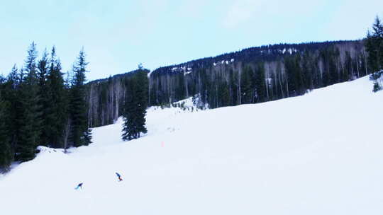 人们在雪山上滑雪视频素材模板下载