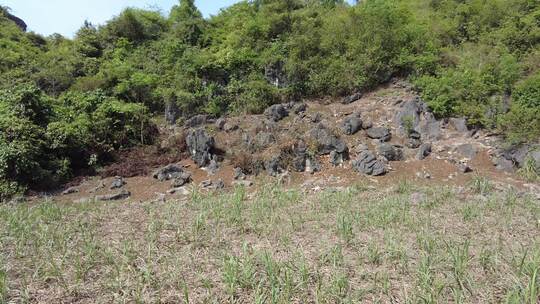 云南山区耕地农业种植