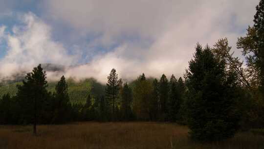 延时拍摄森林的蓝天白云