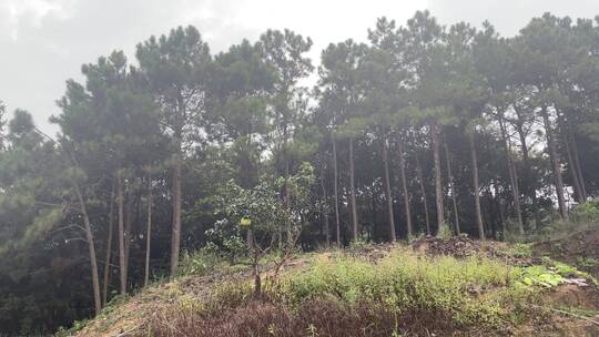 小山村风景4K实拍视频