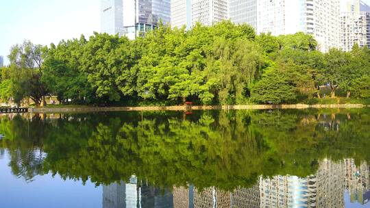 深圳洪湖公园水倒影树木建筑