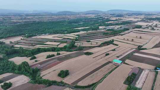 农村农业麦田自然风景航拍