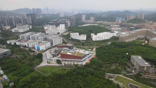 高等教育 教育 科研 经济学院