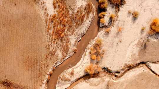4K航拍乌兰布统景区秋季坝上草原河流风光