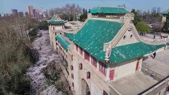 武汉大学樱花与历史建筑视频素材模板下载